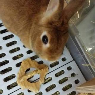 いい方に出会えて良かったです。