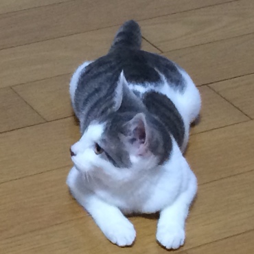 の写真