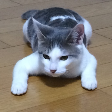 の写真