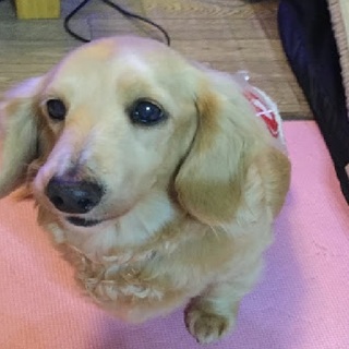 おとなしい子、まりです。