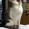の写真