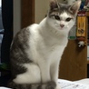 の写真