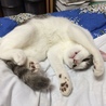 の写真