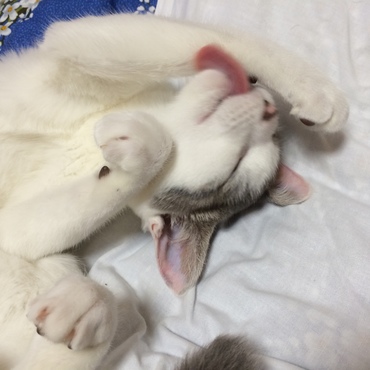 の写真
