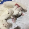の写真