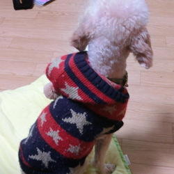 「ラビのおさがり」サムネイル2