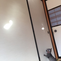未確認飛行物体発見‼︎