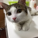 トライアル中により一時停止で！