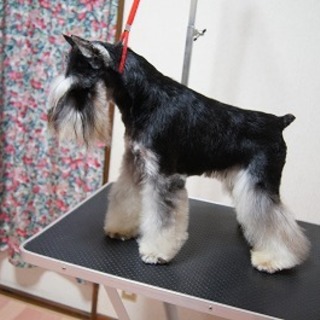 明るく人懐っこい子