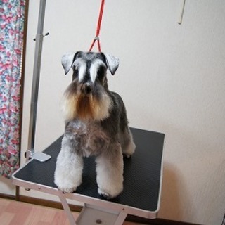 明るく人懐っこい子