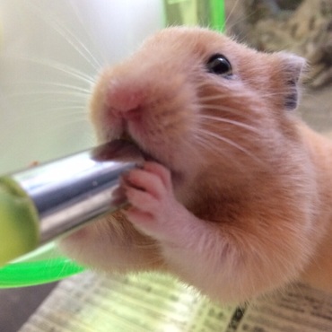 喉乾いた〜。お水が美味しい♡