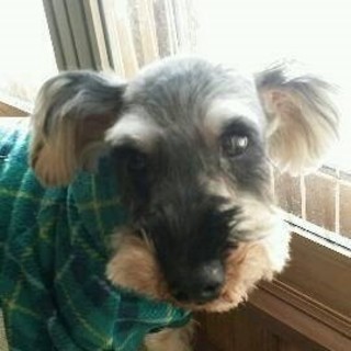 とっても、お茶目な男の子♪