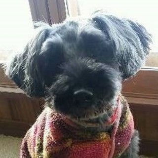 控えめに甘えてくる可愛い女の子♪