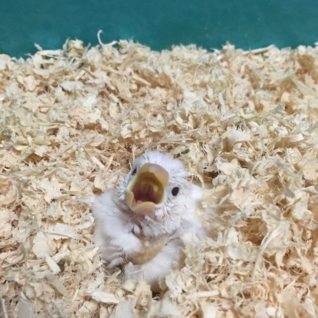 0きよ0のカバー写真