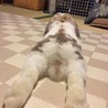 うさケツです！