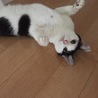 の写真