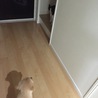 の写真