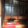 かんちゃん0130