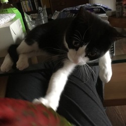 「あそぼ」サムネイル1