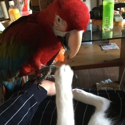 「あそぼ」サムネイル2