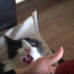 「あそぼ」サムネイル3