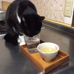 現行犯☆逮捕！！！