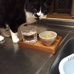 「現行犯☆逮捕！！！」サムネイル2