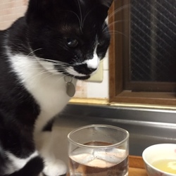 「現行犯☆逮捕！！！」サムネイル3