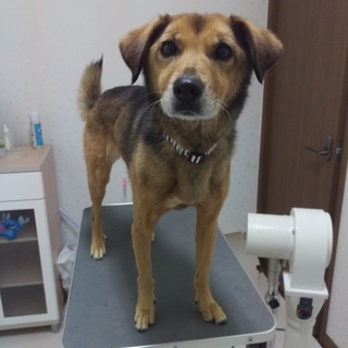 ありがとうございました☆大和撫子☆エマちゃん