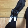 よっち37