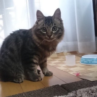 寒い中一人ぼっちの所を保護しました