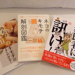 キャットオーナーにオススメの3冊