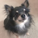 応募が多いので1度止めます。