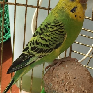 素敵なご縁がありました。ありがとうございました。