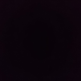 至急 野良犬の里親募集