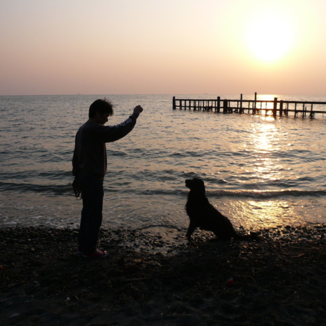 えるままのカバー写真