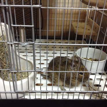の写真