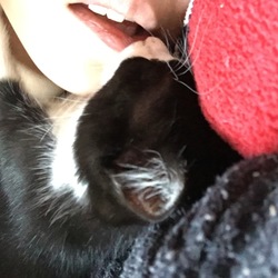 「チュウチュウ」サムネイル2