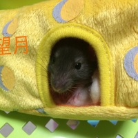 望月（もちづき、通称モッチー）