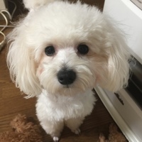 そら