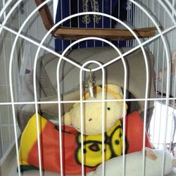 つばさ君　名前はつばさ君に決定