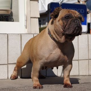 沢山のご応募ありがとうございました。