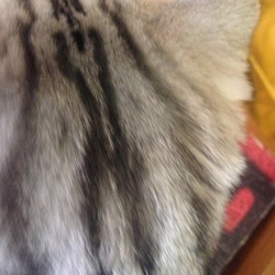 「模様(^^)」サムネイル1