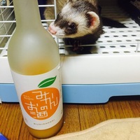 がぶ