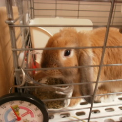 毎日元気に遊んでいます！