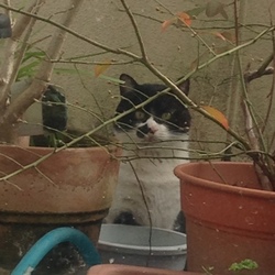 すこしは慣れた…?