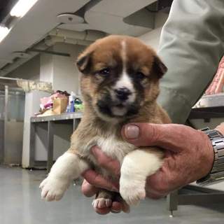 募集いったんストップします！