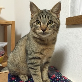 いいご縁が繋がりました♬