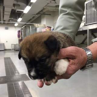 募集いったんストップします！