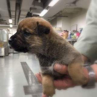 募集いったんストップします！